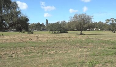 Largo invests nearly $1M in Pinecrest Stormwater Conservation Area Project to tackle flooding concerns