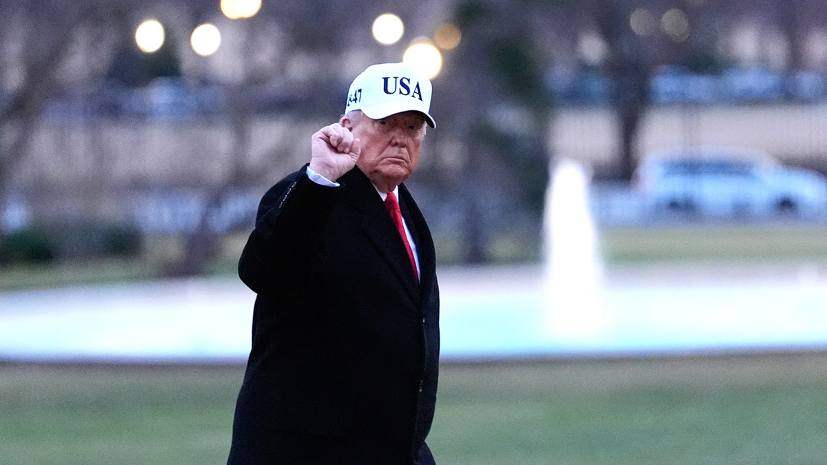 Trump wears a USA hat and pumps his fist