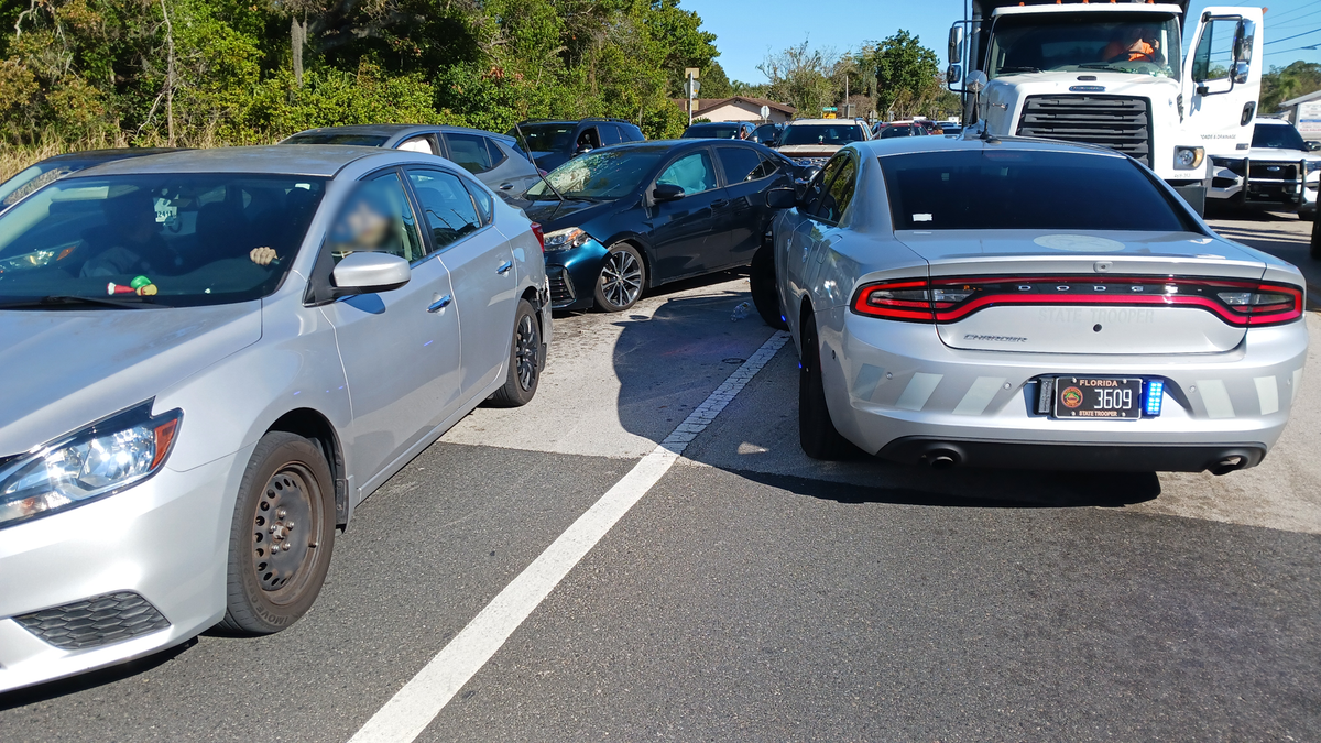 Tampa man arrested after high-speed chase ends in crash in Polk County