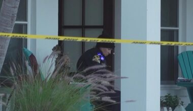4-year-old boy stabbed to death by his mother at St. Pete home, police say