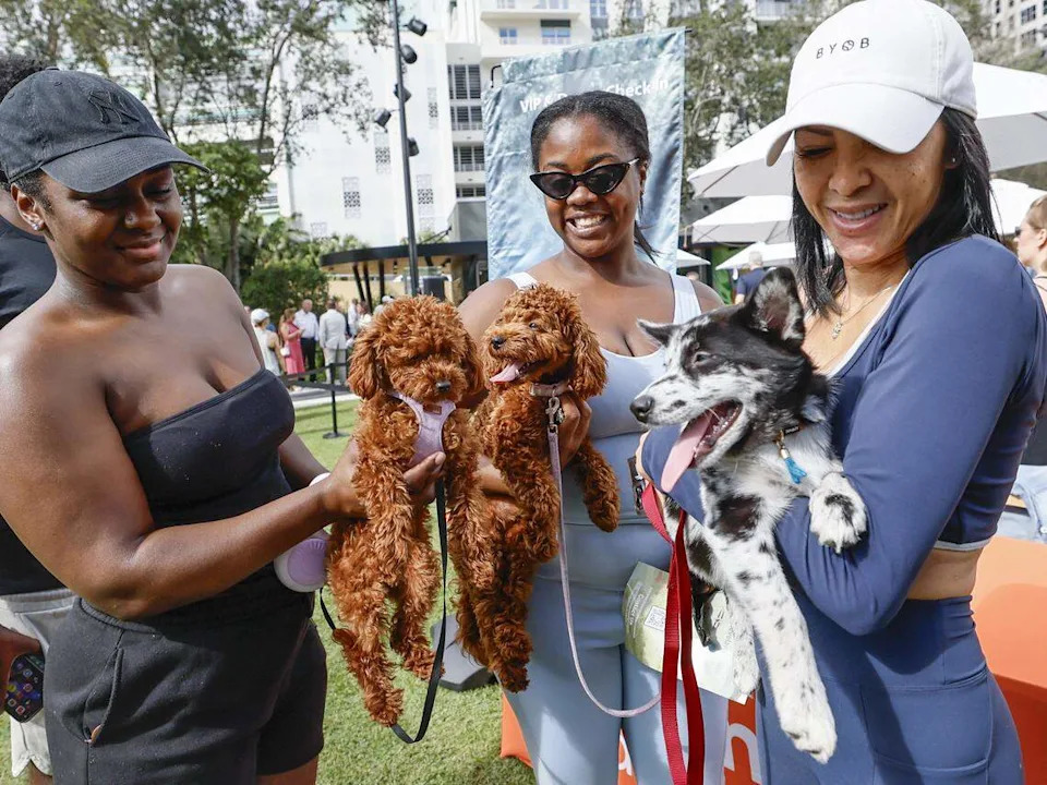Imani Jacinthe, holding Mia, Jessica Alexandra, holding Lily, and Yulissa Parra, holding Aspen, visit Huizenga Park.