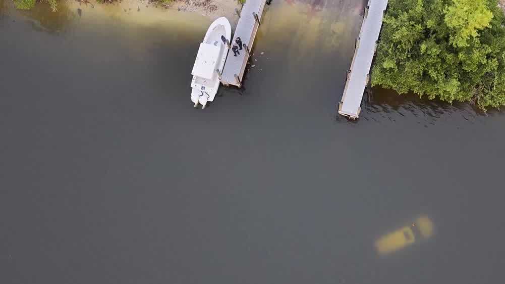 1 arrested after car crashes into water in Cape Coral