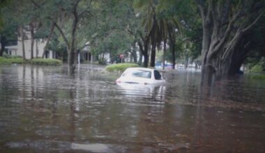Tampa City Council approves reallocation of funds for SoHo flood relief project