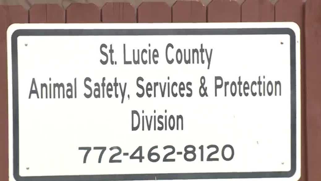 St. Lucie County launches 24/7 animal control response for unincorporated areas