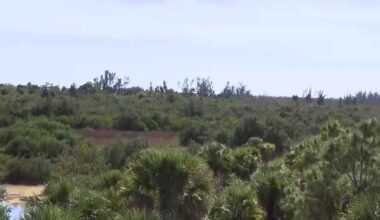 Cape Coral reviews Redfish Pointe Development proposal amid resident concerns