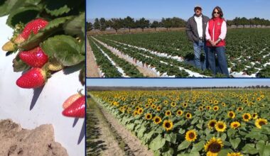 How Florida farmers, landscapers are preparing for the cold