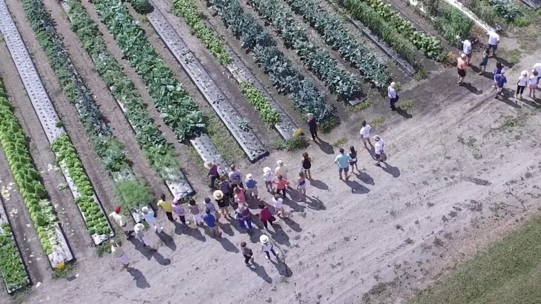 Kai Kai Farm near Indiantown, Florida