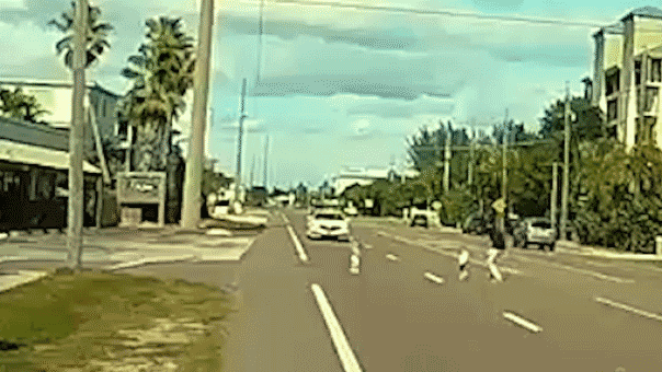Florida driver saves toddlers from busy road in heroic rescue: 'I was terrified'
