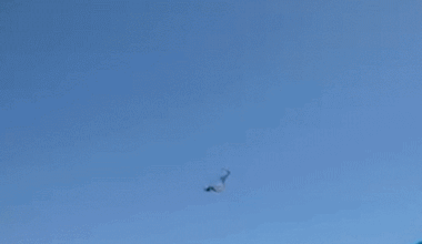 Florida paraglider falls 500 feet into ocean, survives