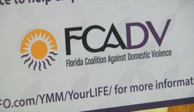 Ex-Domestic Violence Agency CEO Enters Plea – Tallahassee Reports