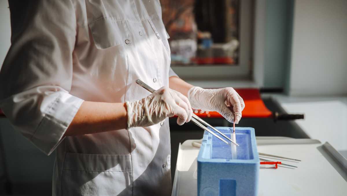 IVF clinic accused of implanting Florida mom with wrong baby