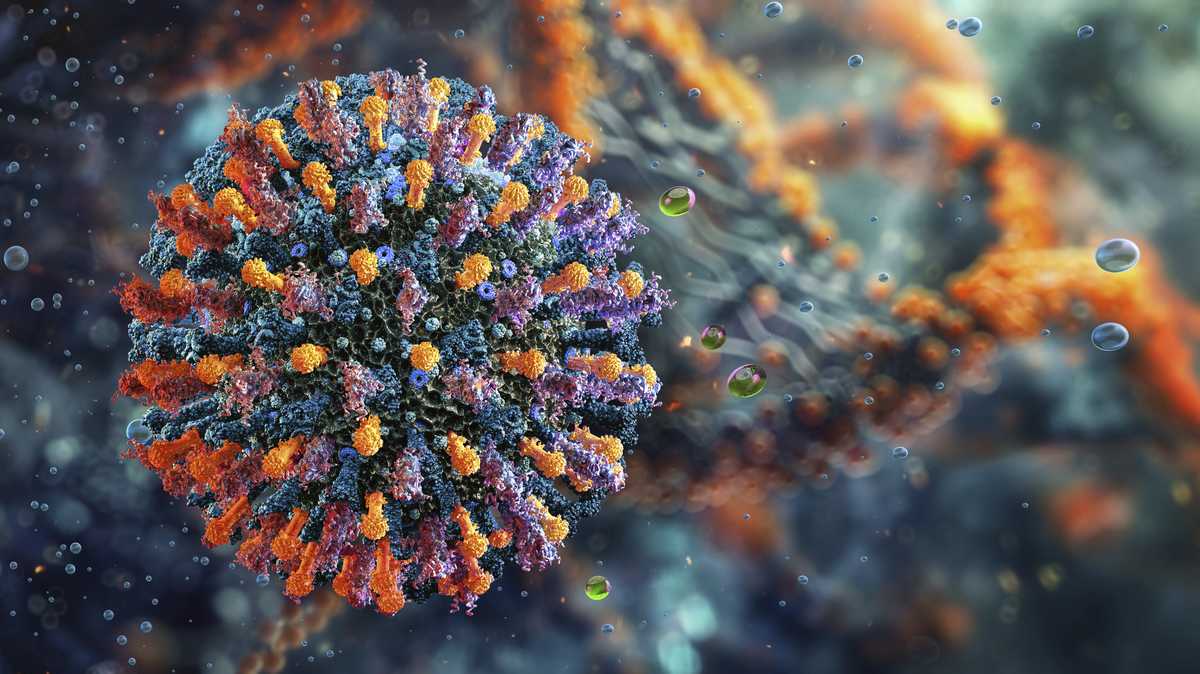 At least 2 measles cases reported at Ave Maria University in Florida