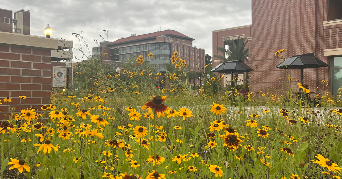 4 Ways to Fight the Spring Scaries in Tallahassee