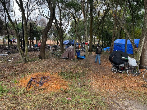 A makeshift homeless encampment in a wooded area off Orange Blossom Trail in Apopka on Monday, January 26, 2026. (Michael Cuglietta/Orlando Sentinel)