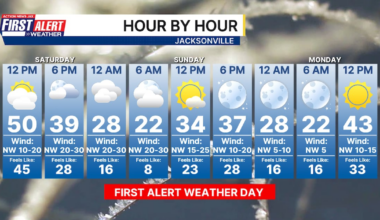 Hour-by-hour temperature summary for the Jacksonville area for the weekend, Monday – Action News Jax