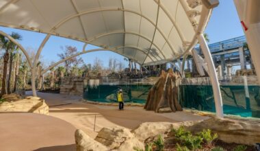 Jacksonville Zoo to open manatee rehabilitation center in campus transformation – Action News Jax