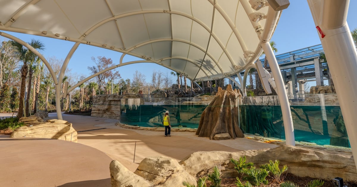Jacksonville Zoo to open manatee rehabilitation center in campus transformation – Action News Jax