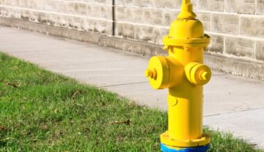 Fire hydrant testing underway in Winter Springs – WFTV