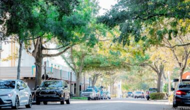 Park Avenue Winter Park Refresh: $8M Upgrade Project Starts 2026