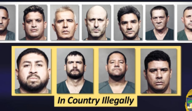 JSO – Action News Jax