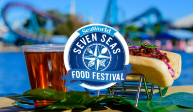 SeaWorld Orlando releases Seven Seas Food Festival concert lineup