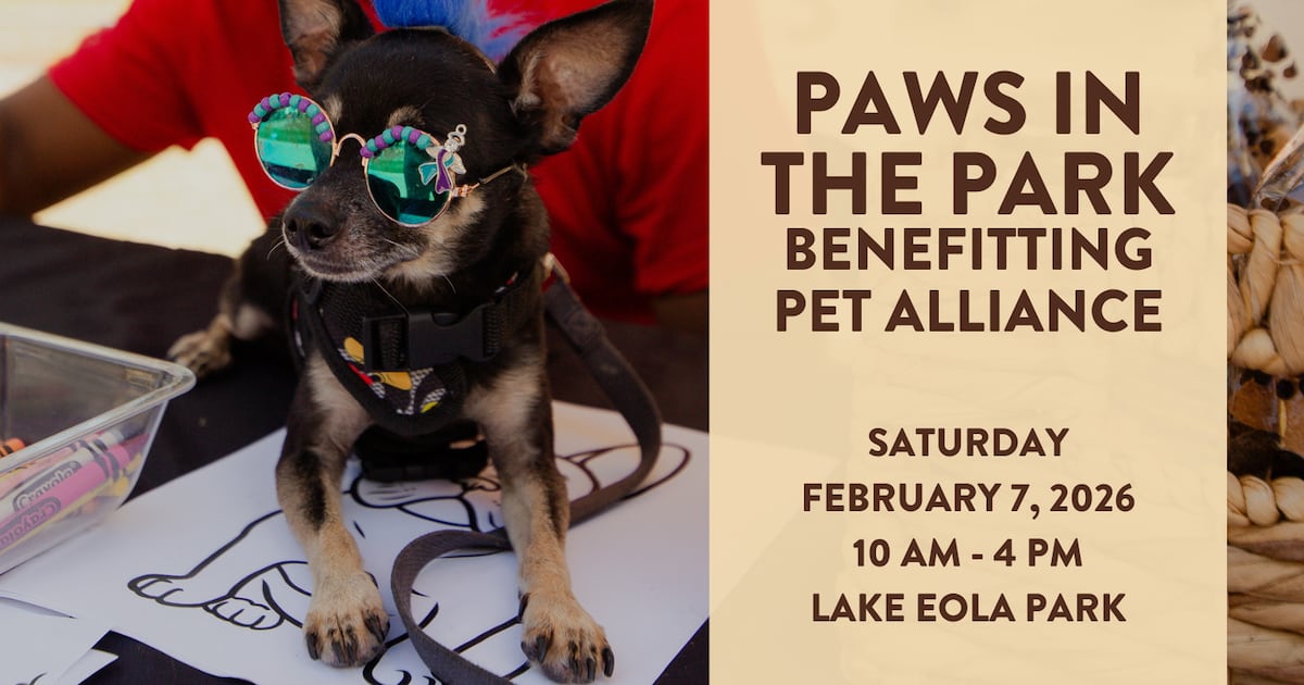 Paws in the Park 2026 – WFTV