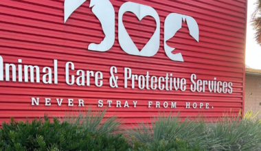 Jacksonville’s Animal Care and Protective Services (ACPS) partners with First Coast Crime Stoppers – Action News Jax