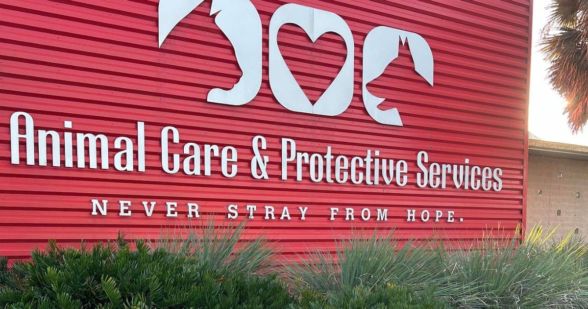 Jacksonville’s Animal Care and Protective Services (ACPS) partners with First Coast Crime Stoppers – Action News Jax