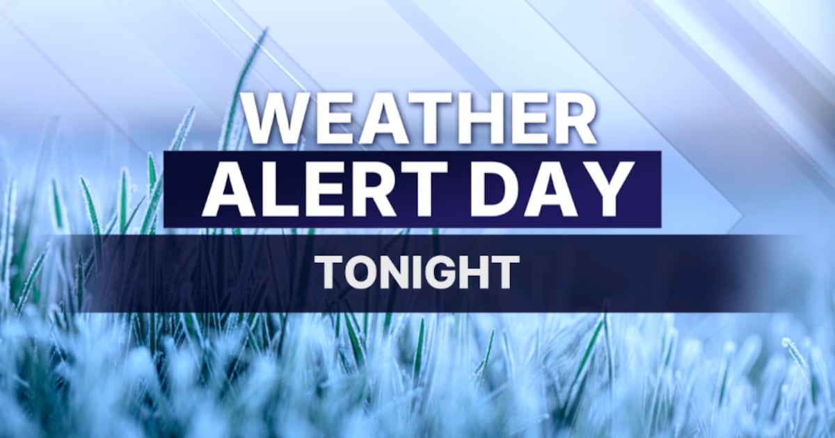 Cold front ushers in near-freezing temperatures across Central Florida – WFTV