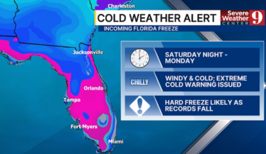 Wind, freeze, and extreme cold warnings blanket Central Florida – WFTV