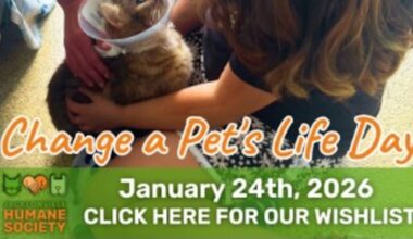 Jacksonville Humane Society launches community wishlist drive – 104.5 WOKV