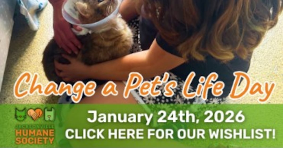 Jacksonville Humane Society launches community wishlist drive – 104.5 WOKV