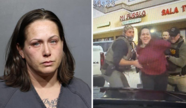 Jacksonville woman protesting ICE enforcement punched FHP trooper, Attorney General says – Action News Jax