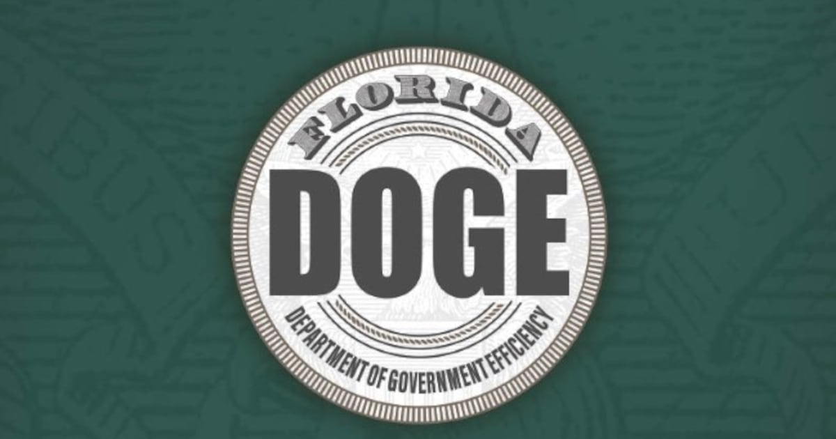 State DOGE report findings generate mixed reactions among city leaders – Action News Jax