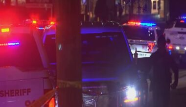 Deputies say Central Florida therapist murdered by former client