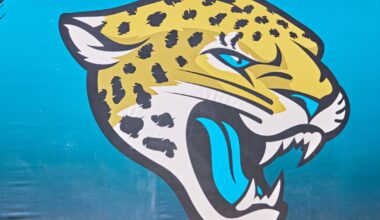 What Jacksonville Jaguars games really cost the city – Action News Jax