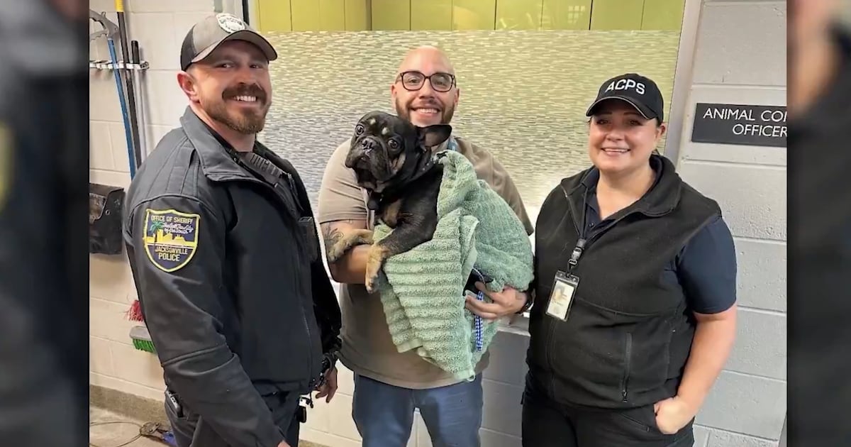 French bulldog rescued from river island by JSO officers – 104.5 WOKV