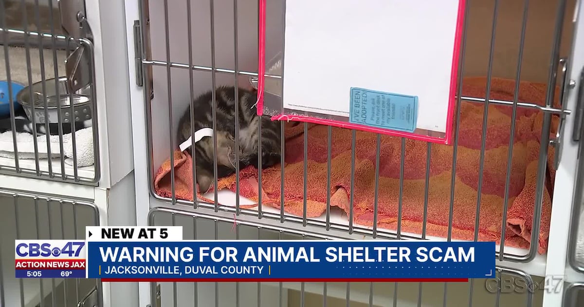 Jacksonville Humane Society urges public to beware of pet-related scams – Action News Jax