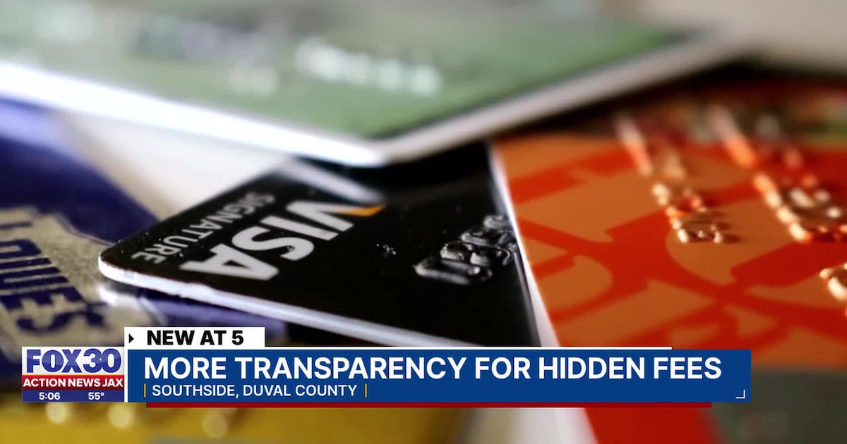 Florida lawmakers look to make electronic service fees more transparent – Action News Jax