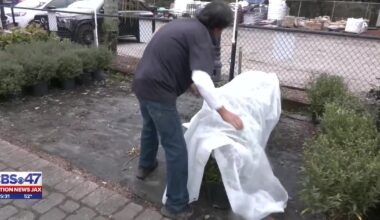 Here’s how to protect plants before the weather turns cold in Northeast Florida, Southeast Georgia – Action News Jax