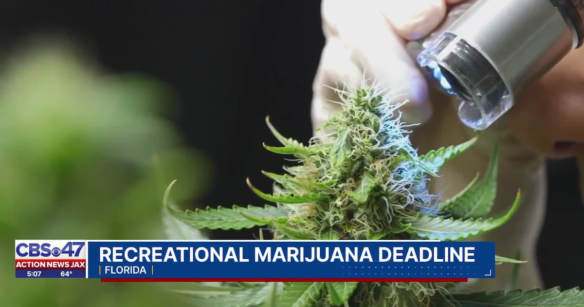 State rejects 270K petitions, leaving marijuana initiative 120K petitions short ahead of deadline – Action News Jax
