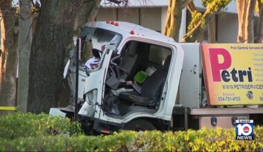 Woman extricated from pest control truck after it crashes into tree in Fort Lauderdale