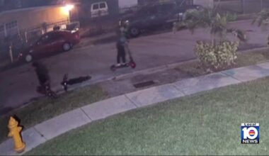 Surveillance video shows suspects damaging Liberty City home