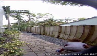 Graphic video shows child stomping duck to death in Fort Lauderdale