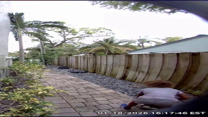 Graphic video shows child stomping duck to death in Fort Lauderdale