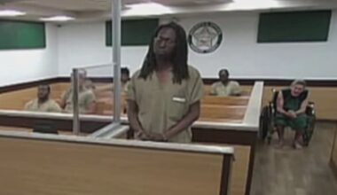 Mailman accused of pepper-spraying fenced-in dogs faces Broward judge