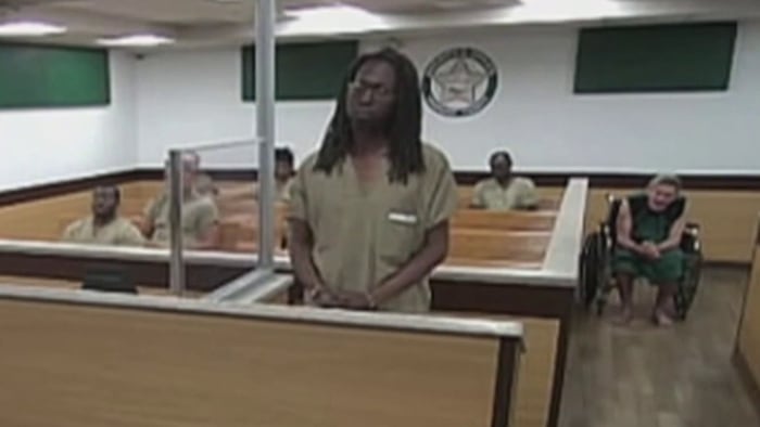 Mailman accused of pepper-spraying fenced-in dogs faces Broward judge