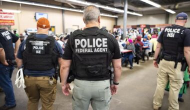Federal agents with their back towards the camera. They wear bulletproof vests that say "Police Federal Agent" and are looking at detained migrants In the background.