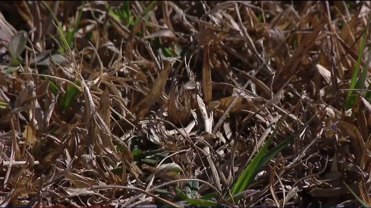 Severe water shortage declared across Tampa Bay area