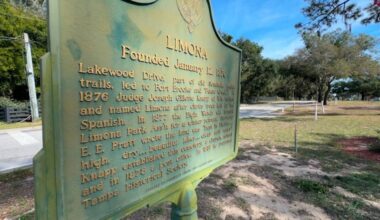 Limona Cemetery marks 150 years, preserving history